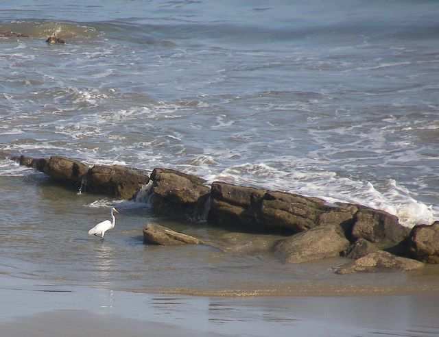 Mancora