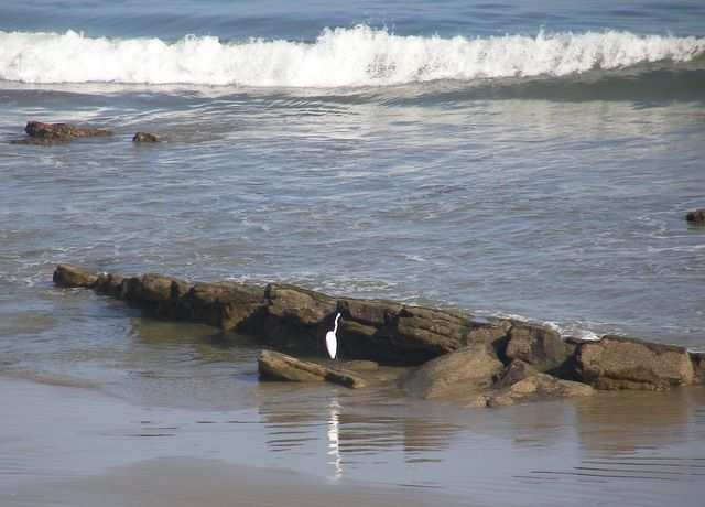 Mancora