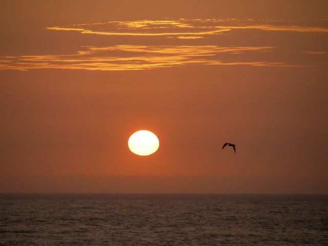 Mancora