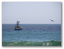 Mancora