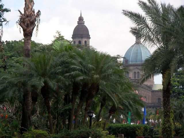 Kathedrale hinter Palmen.