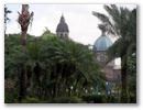 Kathedrale hinter Palmen.