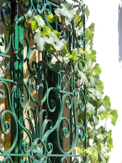 Die Fenster