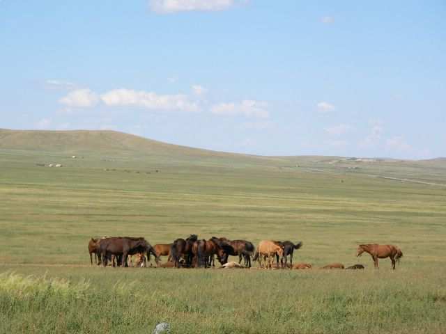 Mongolei-Tour