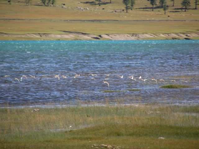 Mongolei-Tour