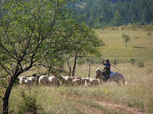Mongolei-Tour