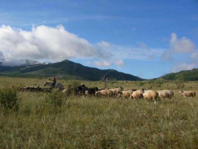 Mongolei-Tour