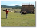 Mongolei-Tour