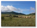Mongolei-Tour