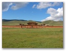Mongolei-Tour