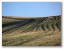 Mongolei-Tour