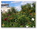 Omsk