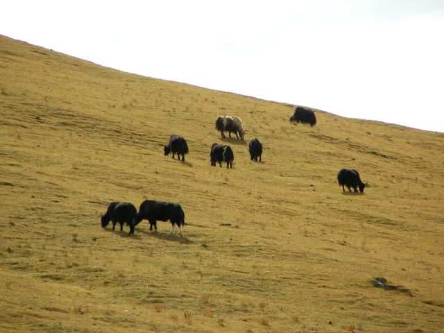 Ost-Tibet
