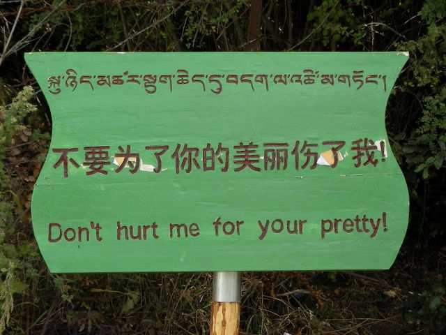 Ost-Tibet