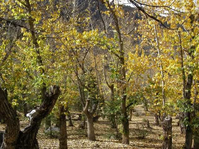 Ost-Tibet
