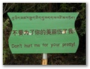 Ost-Tibet