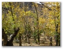 Ost-Tibet