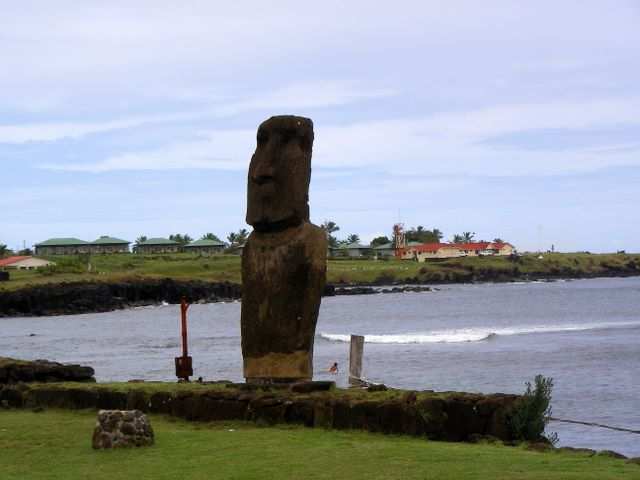 Nach dem Nachtflug von Papeete eine Ortsbegehung. Hier der erste Moai (das sind die hiesigen Felstatuen), den wir am Weg getroffen haben.
