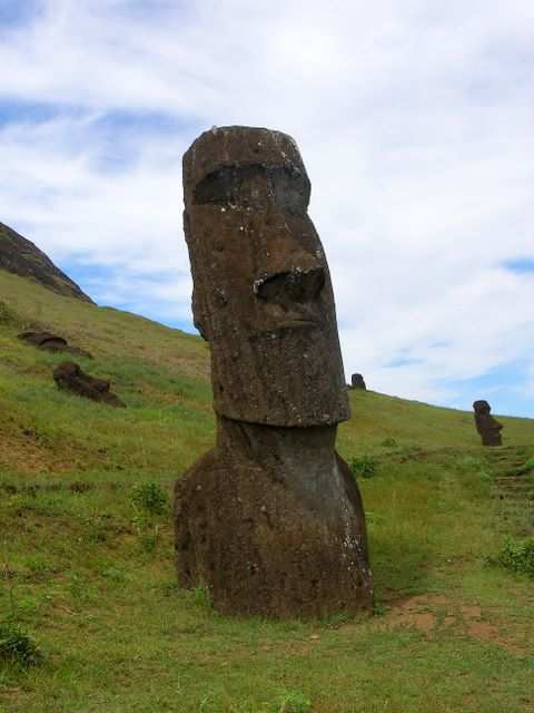 Moai 4