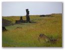 Noch ein Moai.