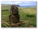 Hier eine ungewoehnliche und unique Moai-Form. Lt. Ueberlieferung ein “verbotener” Moai. Er sieht den Tikis in Frz. Polynesien verdaechtig aehnlich.