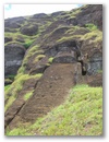Ein Riesen-Moai, der aber nie fertiggestellt wurde.