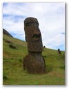 Moai 4