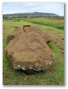 Moai im Originalzustand nach dem hiesigen Buergerkrieg auf Rapa Nui (der urspruengliche Name der Osterinsel).