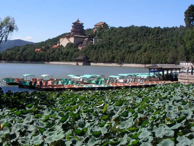 Peking