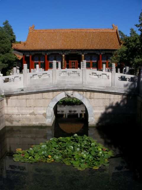 Peking