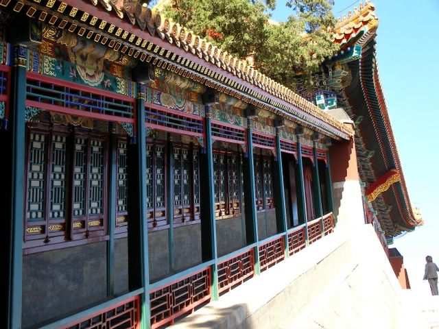 Peking