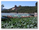 Peking