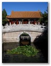 Peking