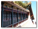 Peking