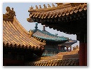 Peking