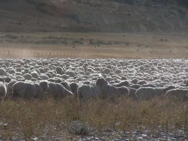Perito Moreno