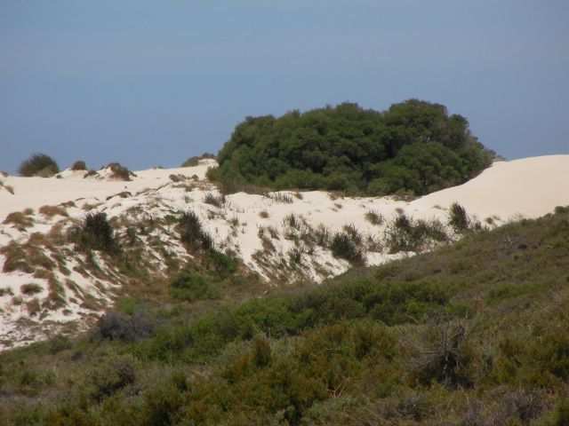Duenenlandschaft.
