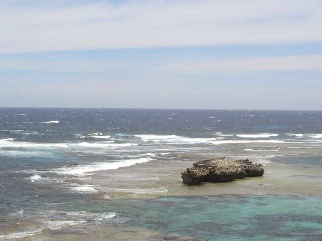 Rock & Surf.