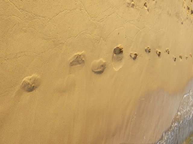 Spuren im Sand