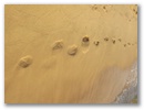 Spuren im Sand