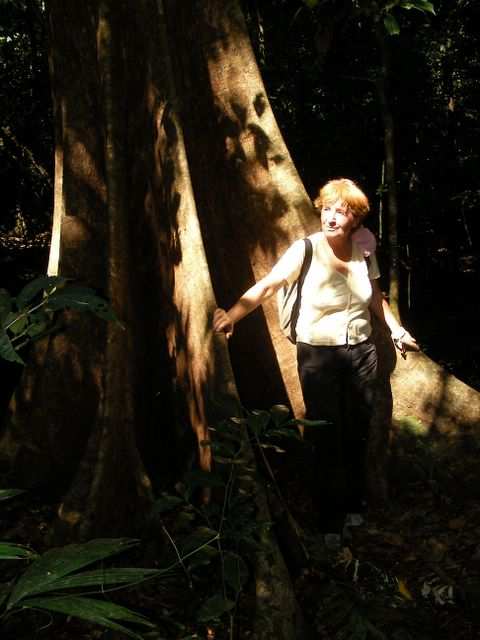 Indiana Ingrid.