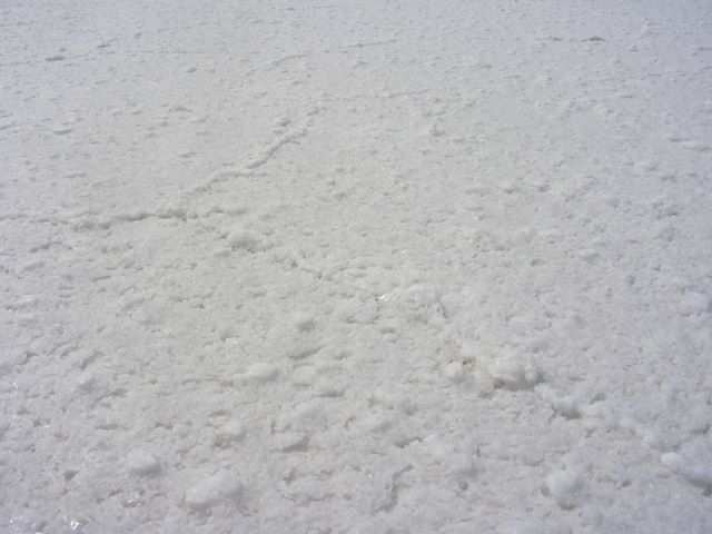 Abschiedsfoto von der Salar.