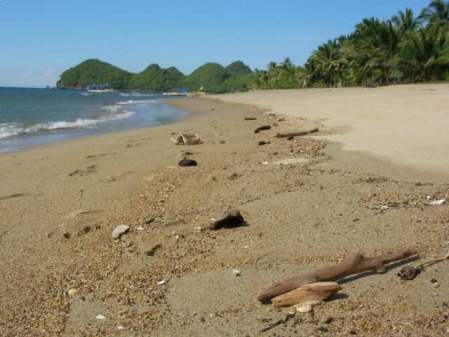 Nur natuerliches Treibgut im Sand.