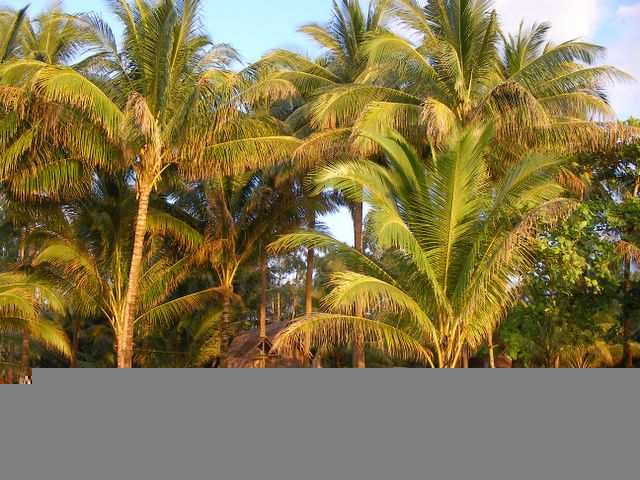 Unser Village vom Strand aus gesehen.