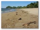 Nur natuerliches Treibgut im Sand.