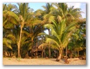Unser Village vom Strand aus gesehen.