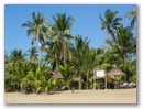 Oder zum Bermuda Beach Ressort.