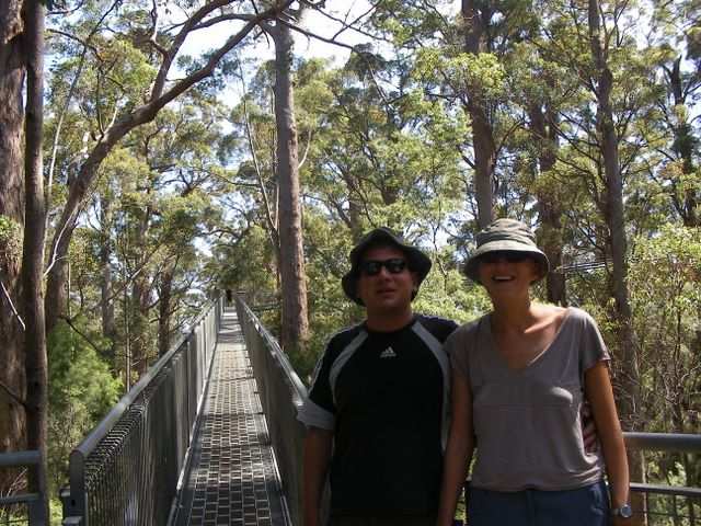 Start zum “Tree Top Walk”!