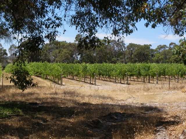 Am naechsten Tag stand eine Weintour im “Margaret River” - Gebiet an!