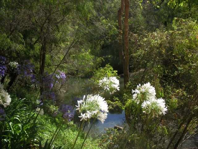Schoene Natur gibt es hier auch!
